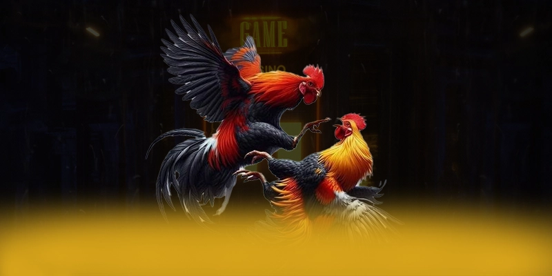FB88 - Cổng game hiện đại số 1 Việt Nam FB88 - Cổng game hiện đại số 1 Việt Nam