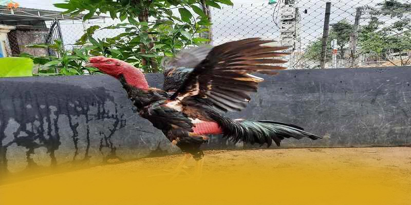 An toàn dữ liệu cá nhân tại BET168 An toàn dữ liệu cá nhân tại BET168