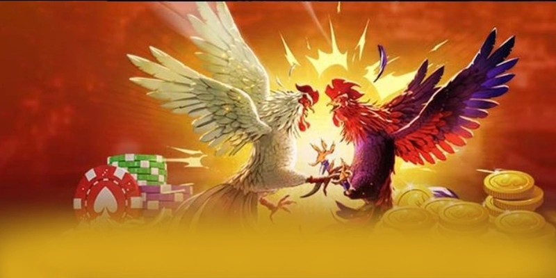 Giải đáp thắc mắc về BET168 Giải đáp thắc mắc về BET168