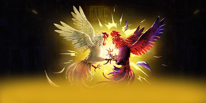 Câu hỏi thường gặp về 8XBET Câu hỏi thường gặp về 8XBET